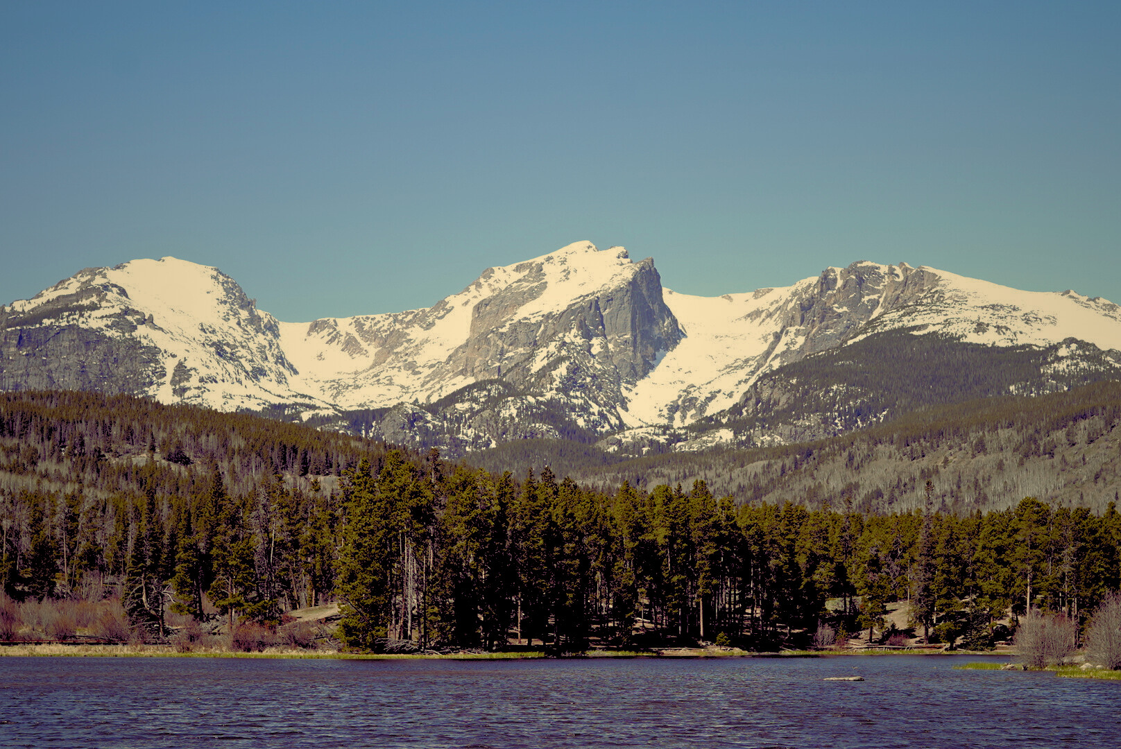 5 Breathtaking Hidden Gems for Estes Park Engagement Photos